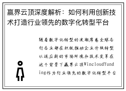 赢界云顶深度解析：如何利用创新技术打造行业领先的数字化转型平台